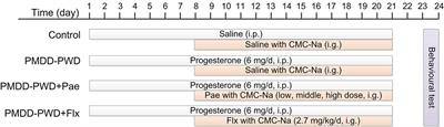 Paeonol at Certain Doses Alleviates Aggressive and Anxiety-Like Behaviours in Two Premenstrual Dysphoric Disorder Rat Models